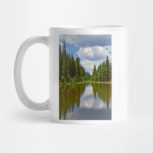 Lake Irene 2018 Study 1 Mug